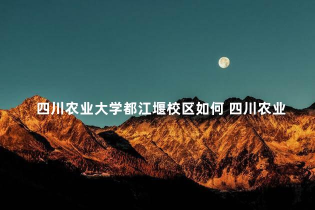 四川农业大学都江堰校区如何 四川农业大学都江堰校区怎么样